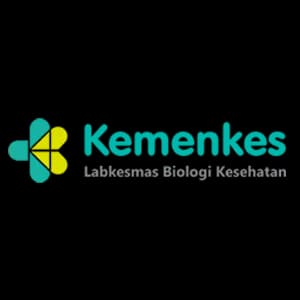 Pemerintahan
